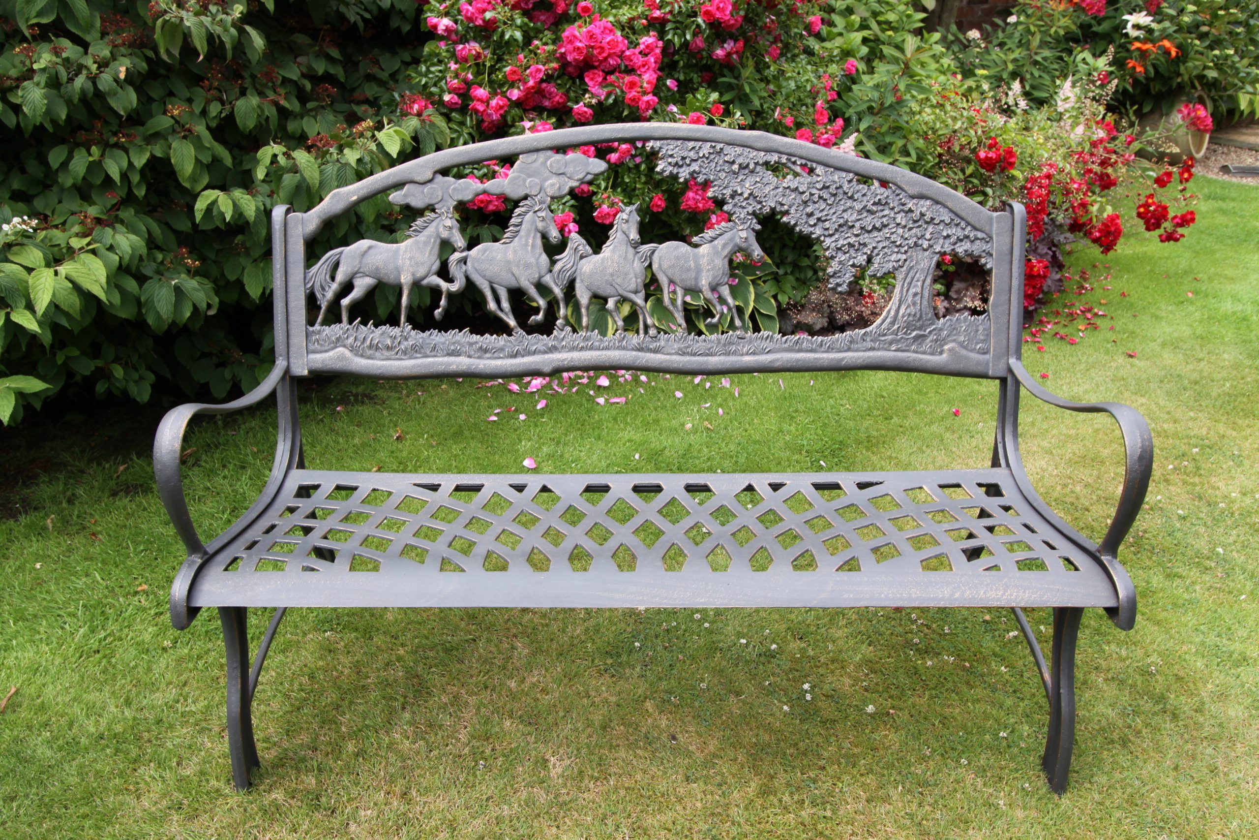 BENCH-COUNTRY- Lifestyle