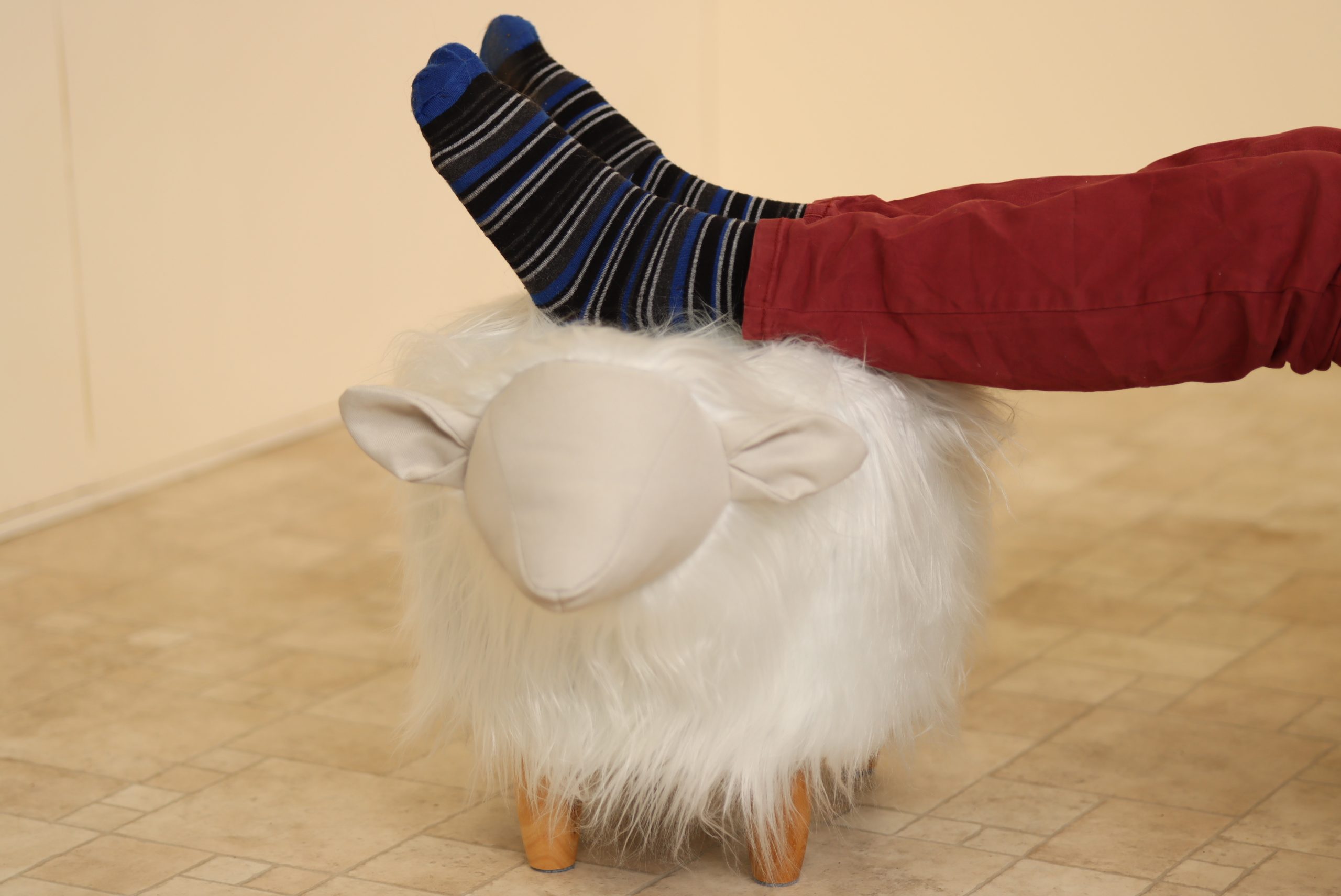 SHEEP-LONG-WFEET